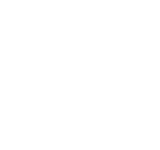 sky rail byd